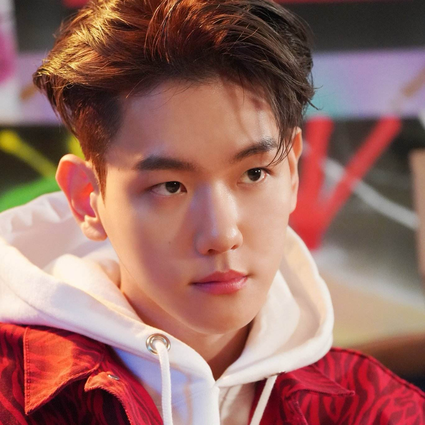 伯賢 (EXO)的最新照片