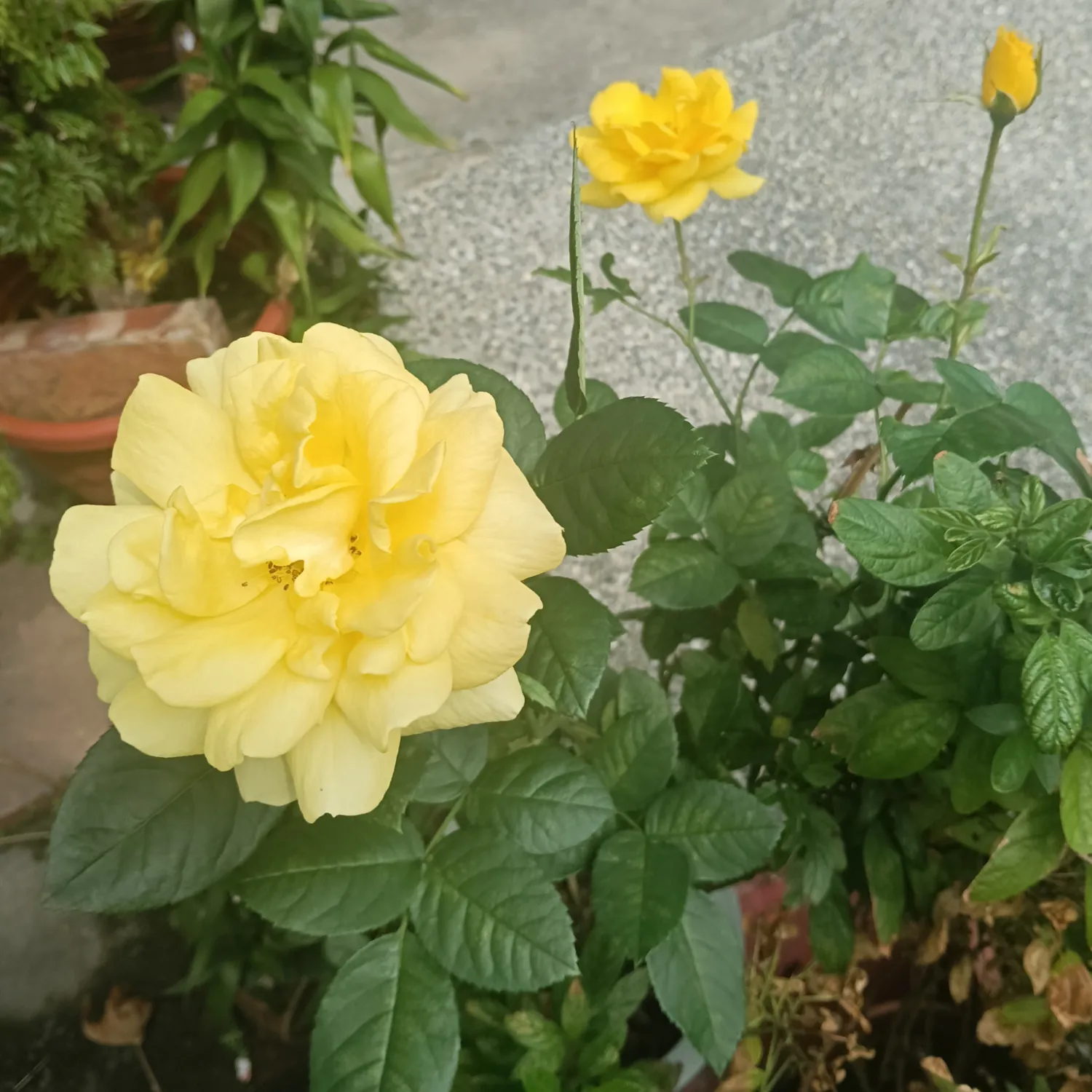 EXO의 최신 사진