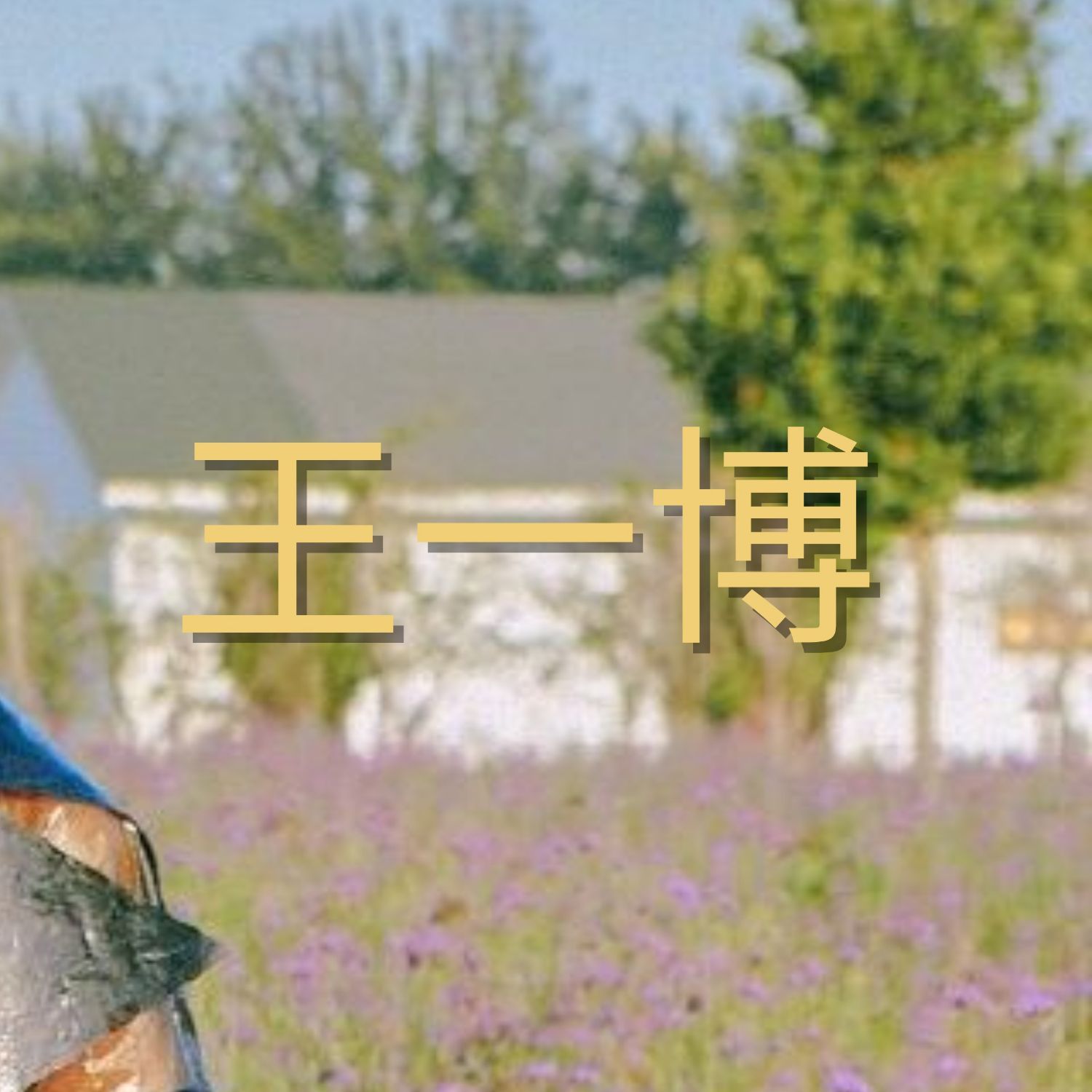 Behind-the-scenes cut of Wang Yibo