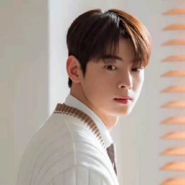 A moment captured by Eunwoo (ASTRO)'s fan