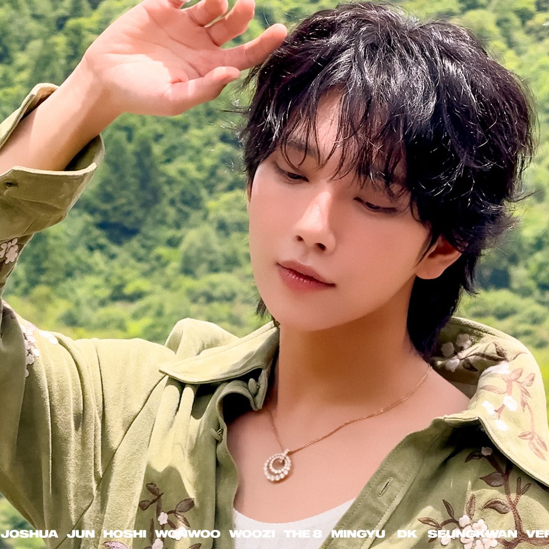 A moment captured by Joshua (SEVENTEEN)'s fan