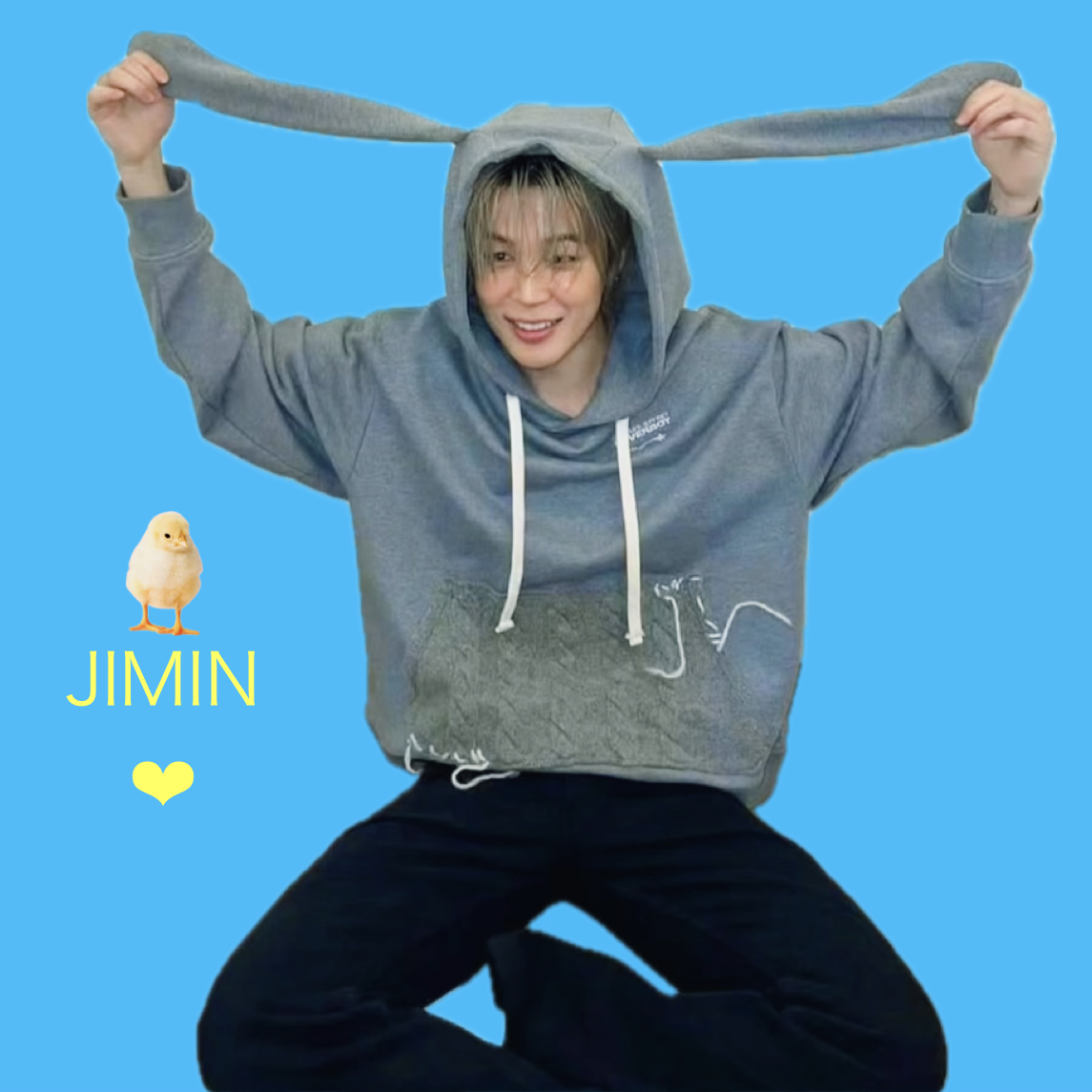 지민 (방탄소년단) 팬이 찍은 순간