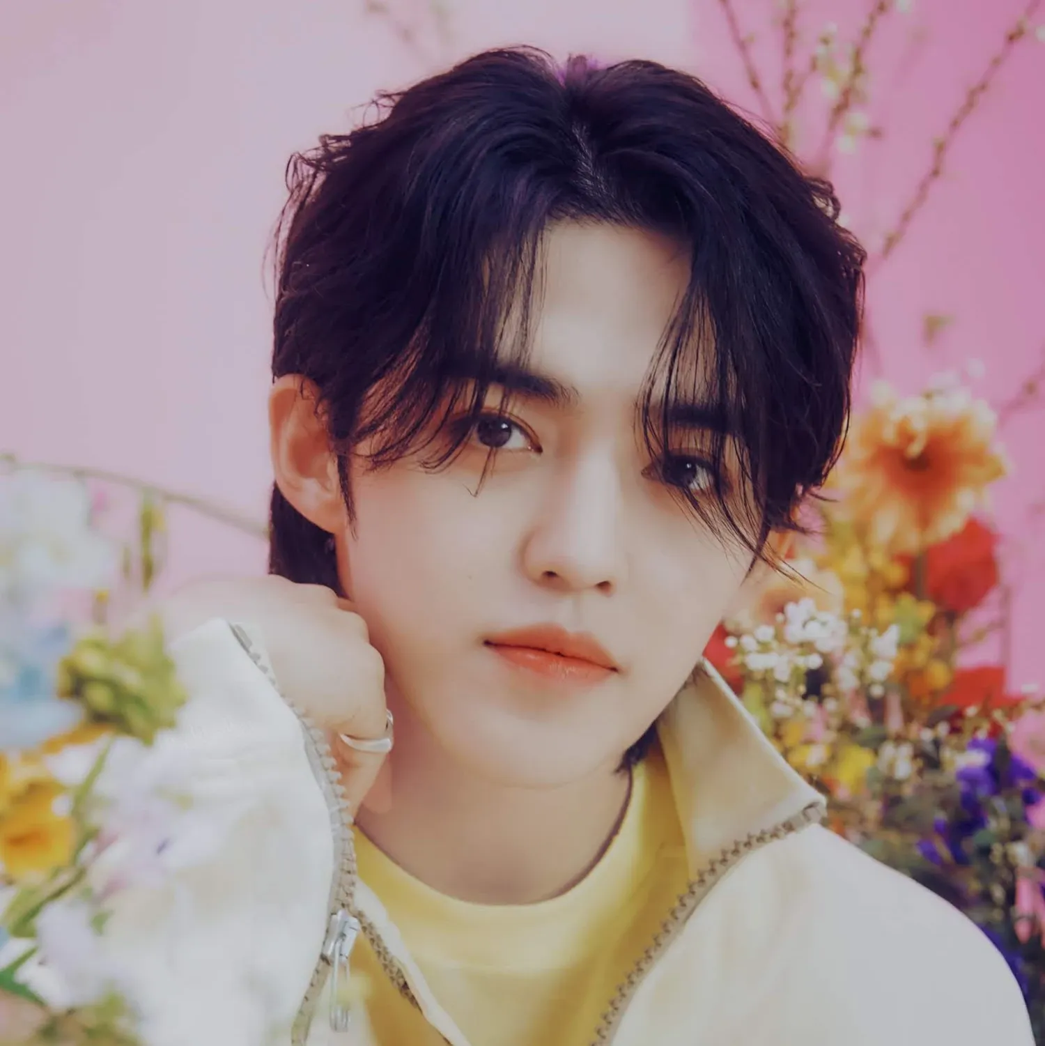 Foto aktivitas terbaru SEVENTEEN