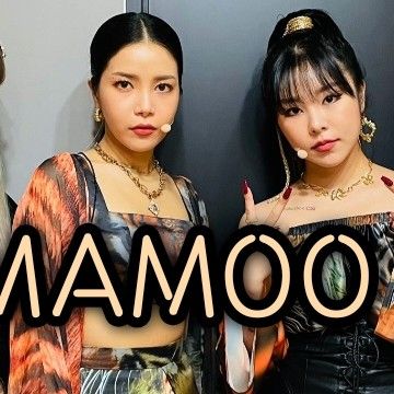 마마무 팬이 찍은 순간