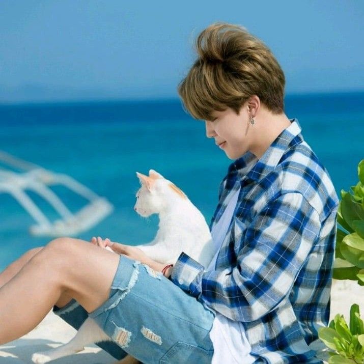 A moment captured by Jimin (BTS)'s fan