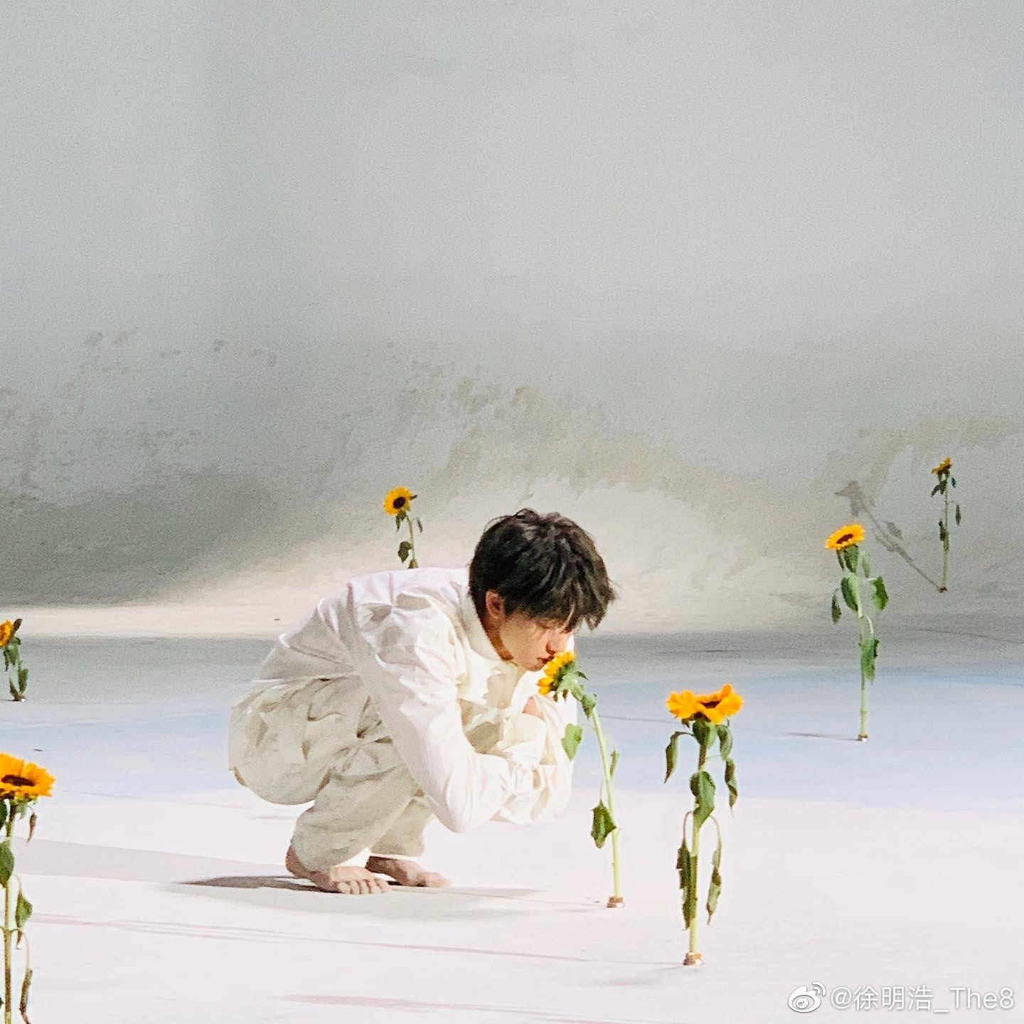 Latest photo of The 8 (SEVENTEEN)