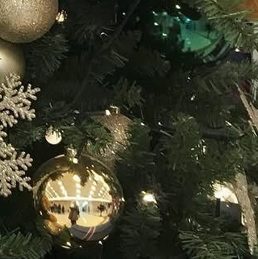 Go Won (Loossemble)粉絲拍下的瞬間