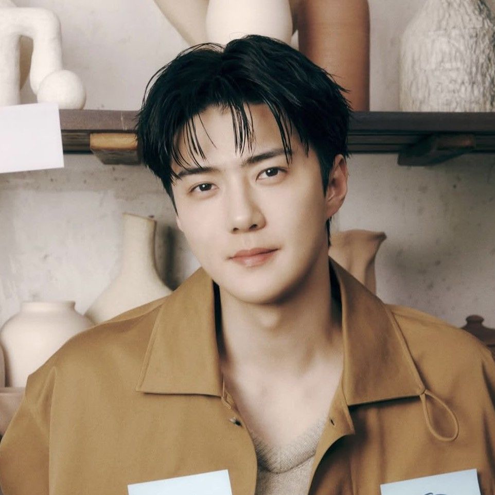 세훈 (EXO) 최근 활동샷