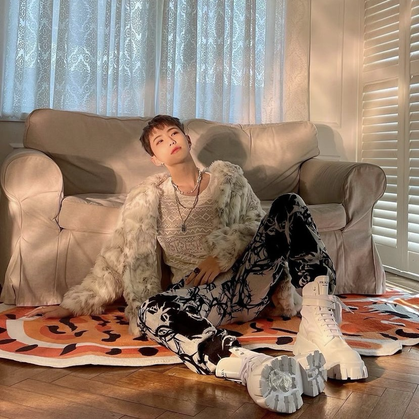 A moment captured by Hoshi (SEVENTEEN)'s fan