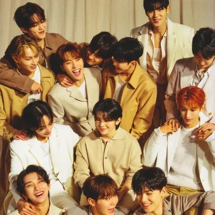 세븐틴 팬이 찍은 순간
