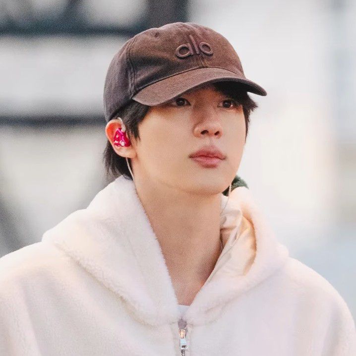 A moment captured by Jin (BTS)'s fan