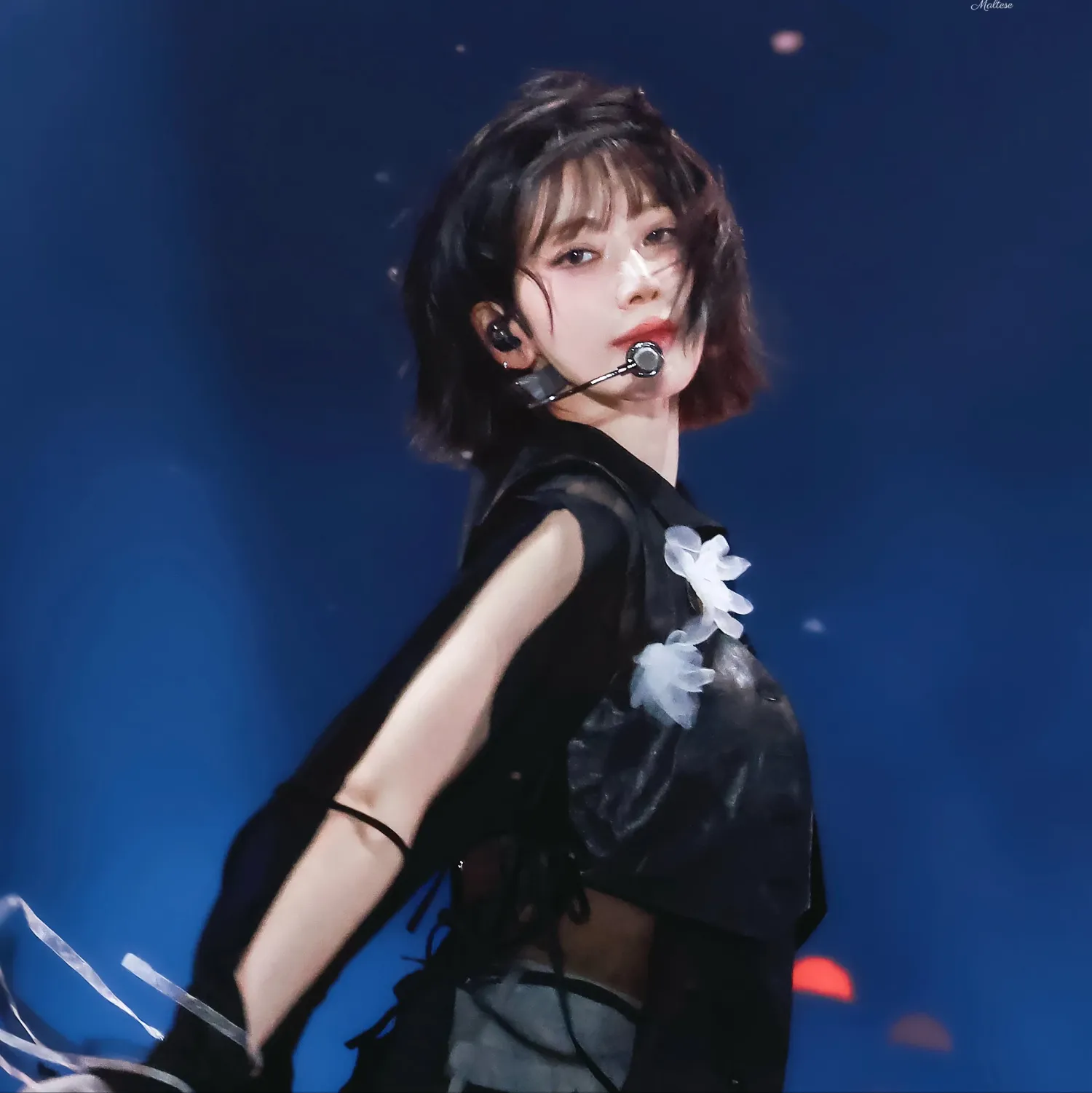 사쿠라 (르세라핌)의 최신 사진