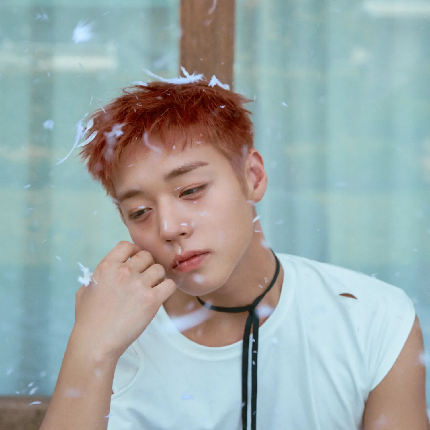 朴志训的幕后花絮