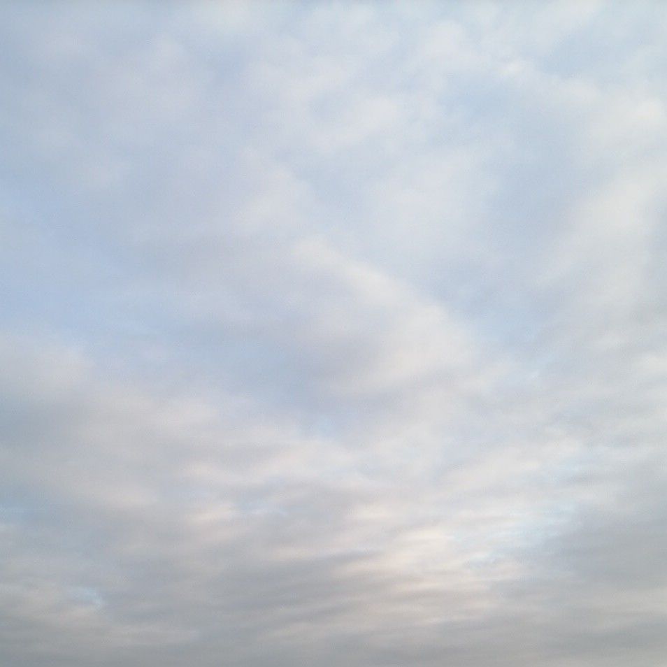 EXO 최근 활동샷