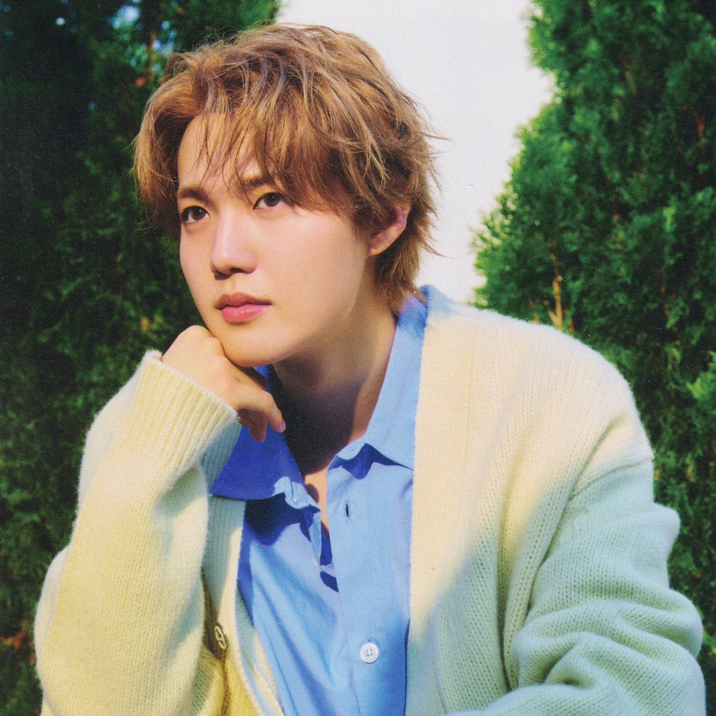 Latest photo of Doyoung (TREASURE)