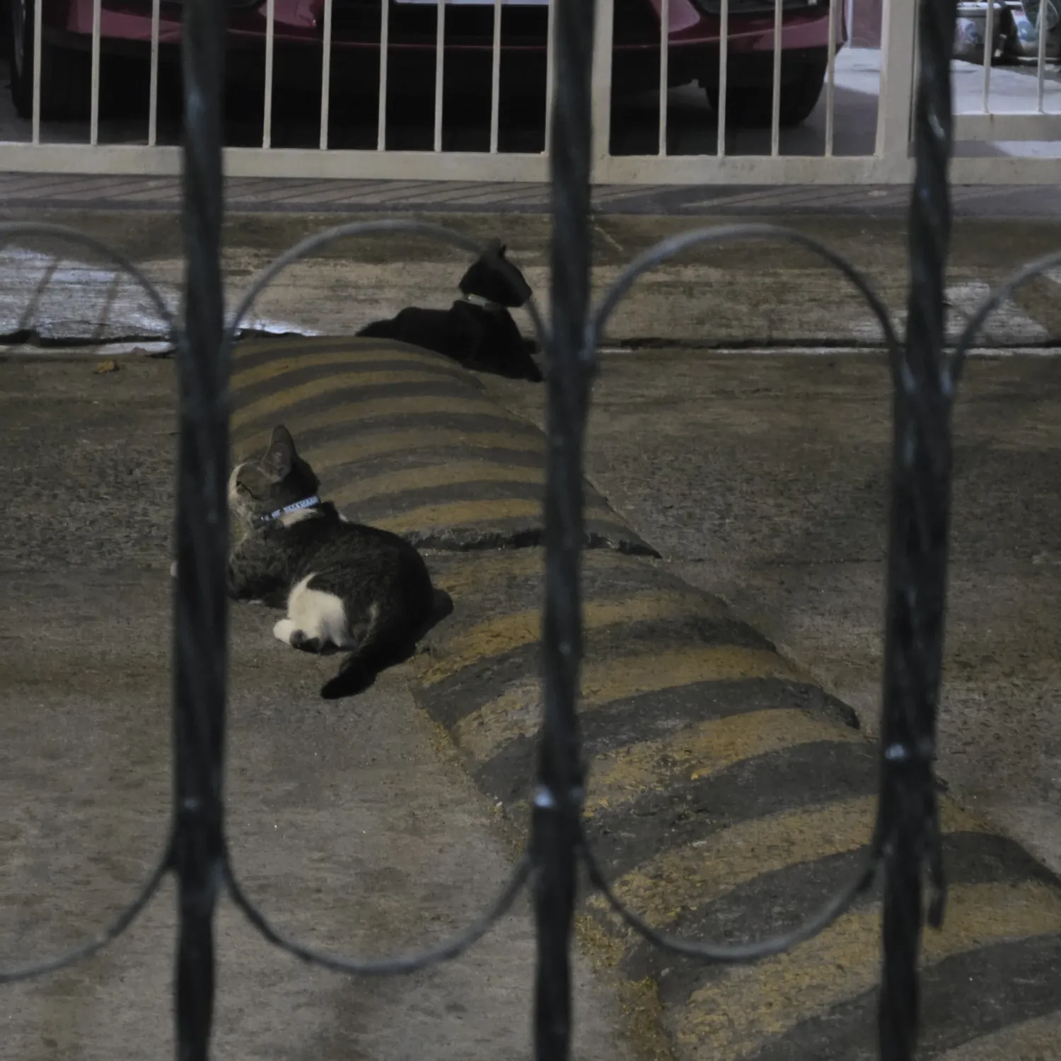 Latest photo of SEVENTEEN