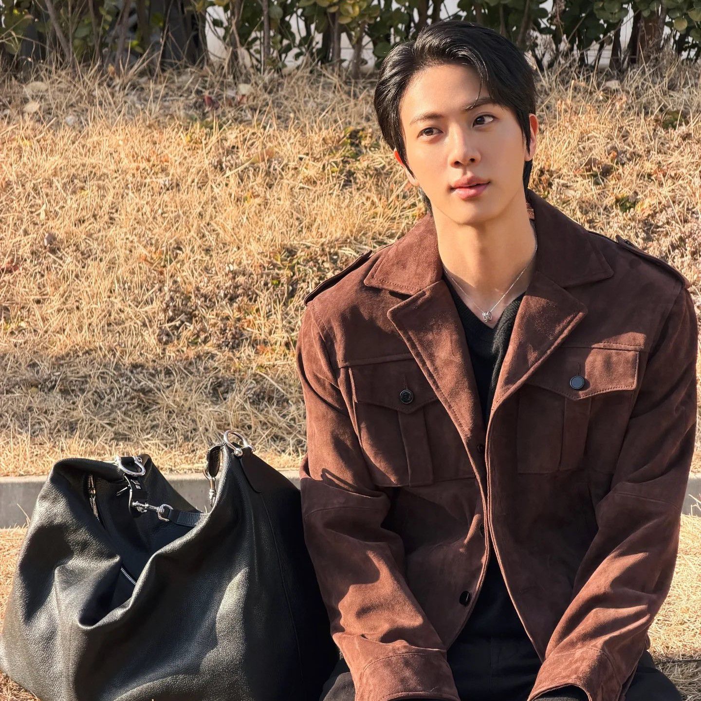 A moment captured by Jin (BTS)'s fan