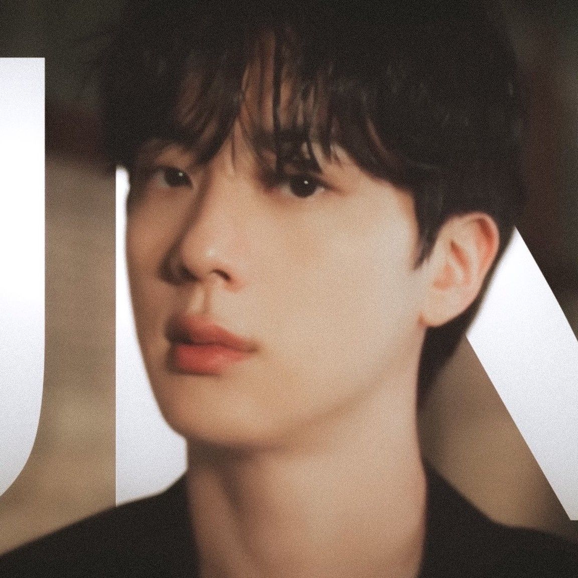 진 (방탄소년단) 팬이 찍은 순간