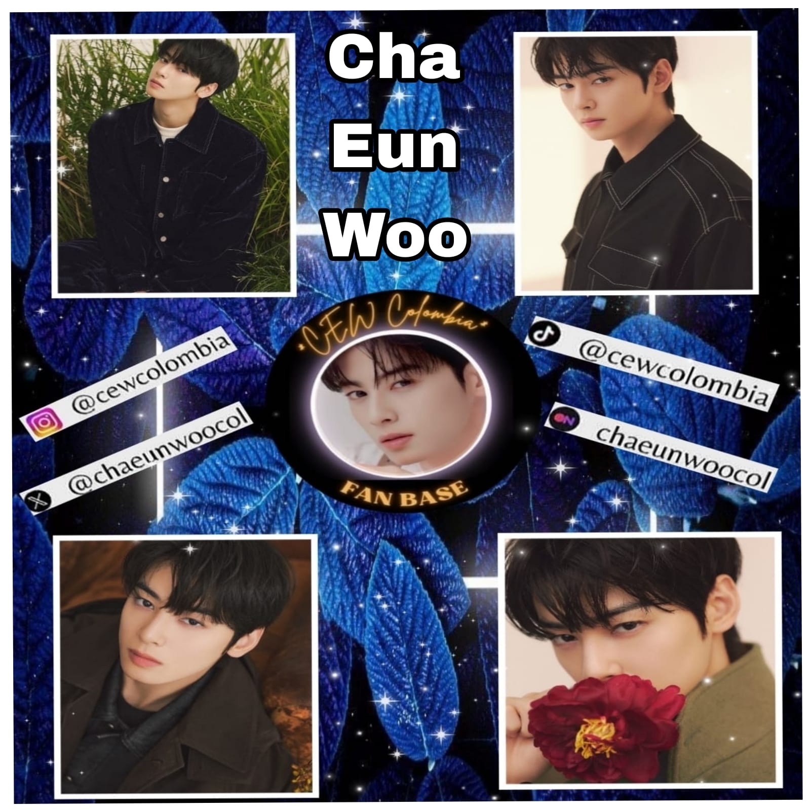 A moment captured by Eunwoo (ASTRO)'s fan