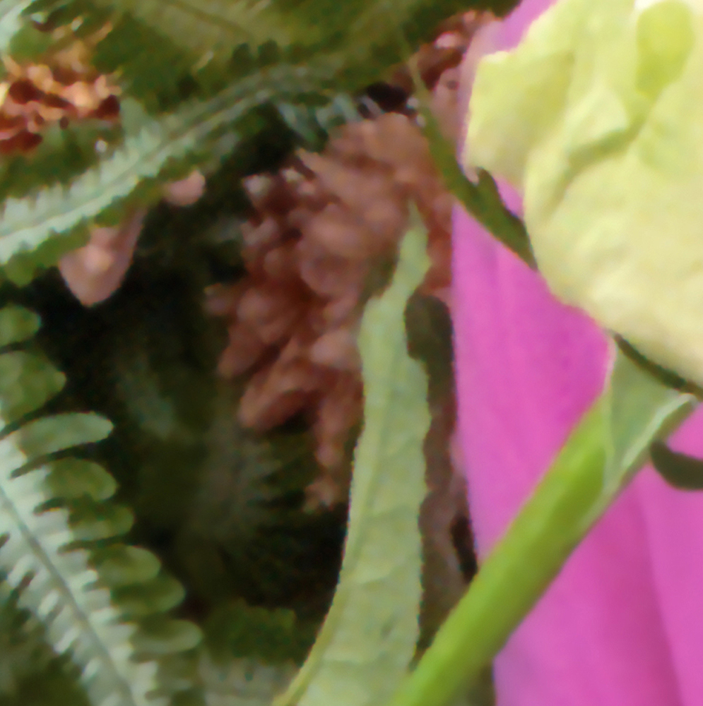 A moment captured by HyunJin (Loossemble)'s fan