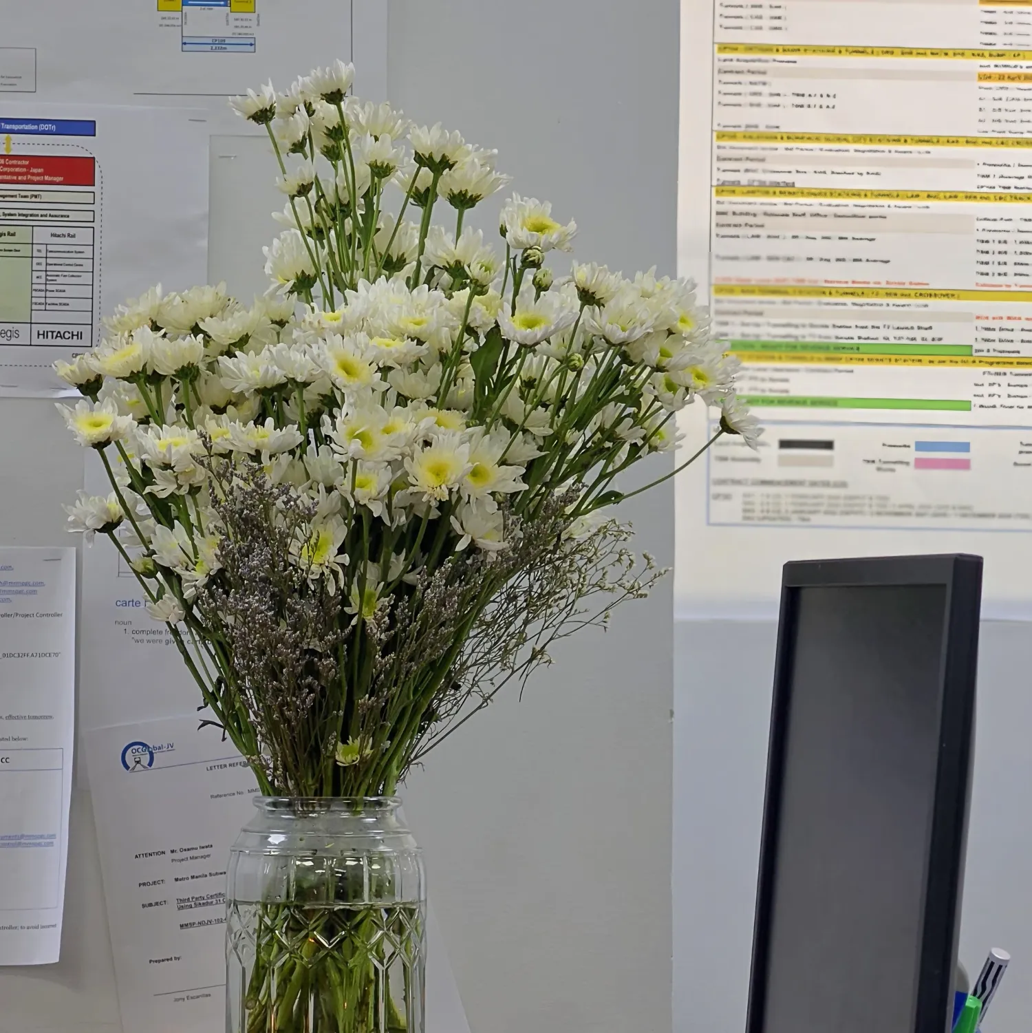 세븐틴 팬이 찍은 순간