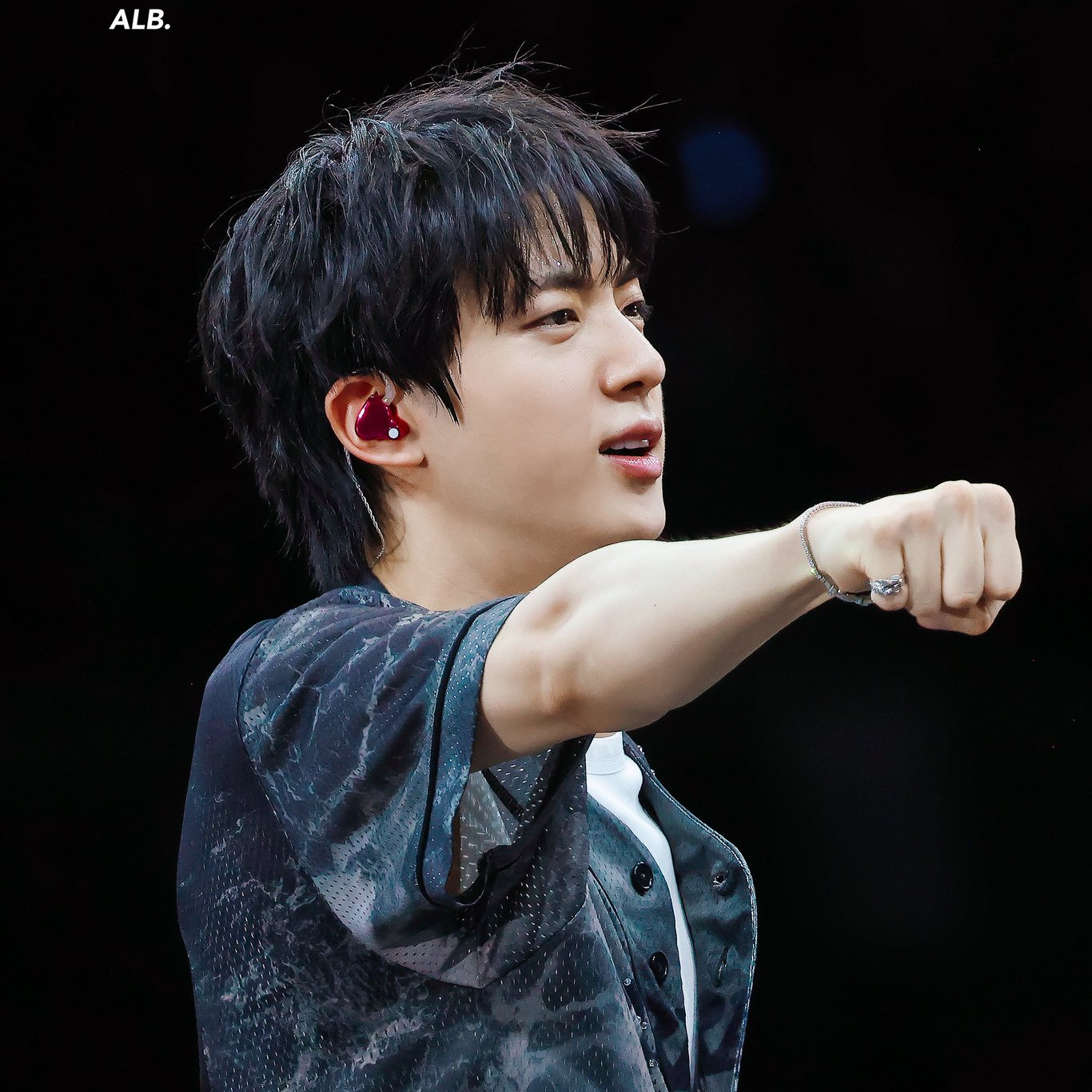 진 (방탄소년단) 팬이 찍은 순간