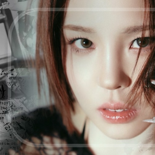 コミュニティで話題の人気アイドルコンテンツ