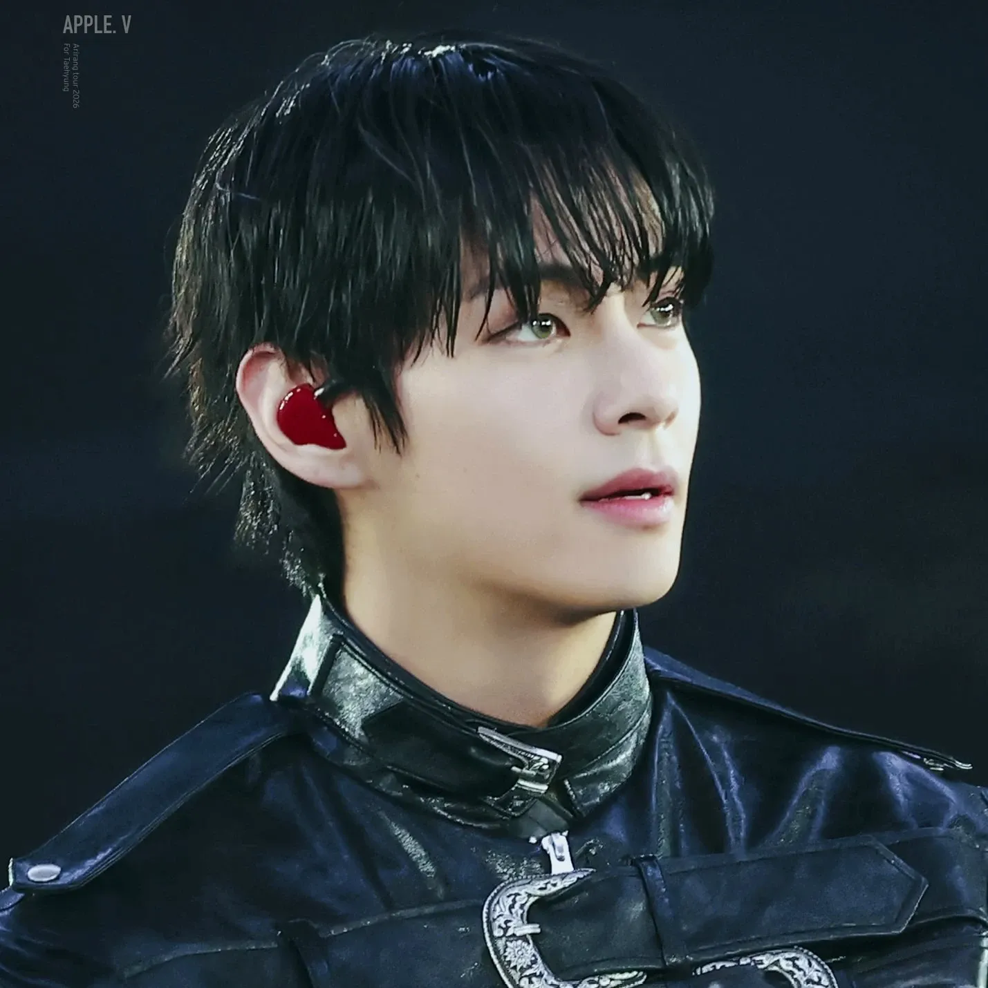 Potret di balik layar V (BTS)