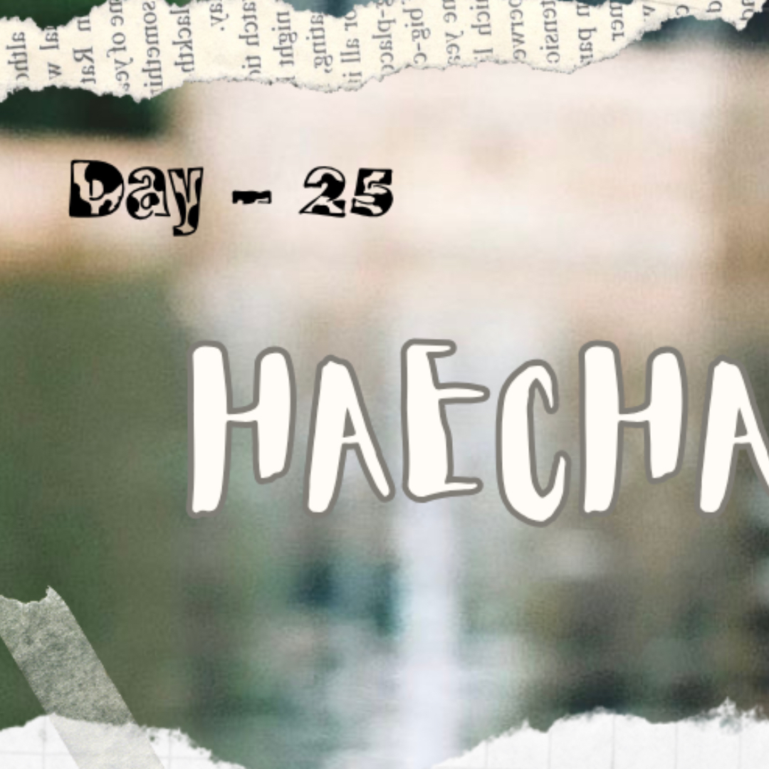 A moment captured by Haechan (NCT 127, NCT DREAM)'s fan