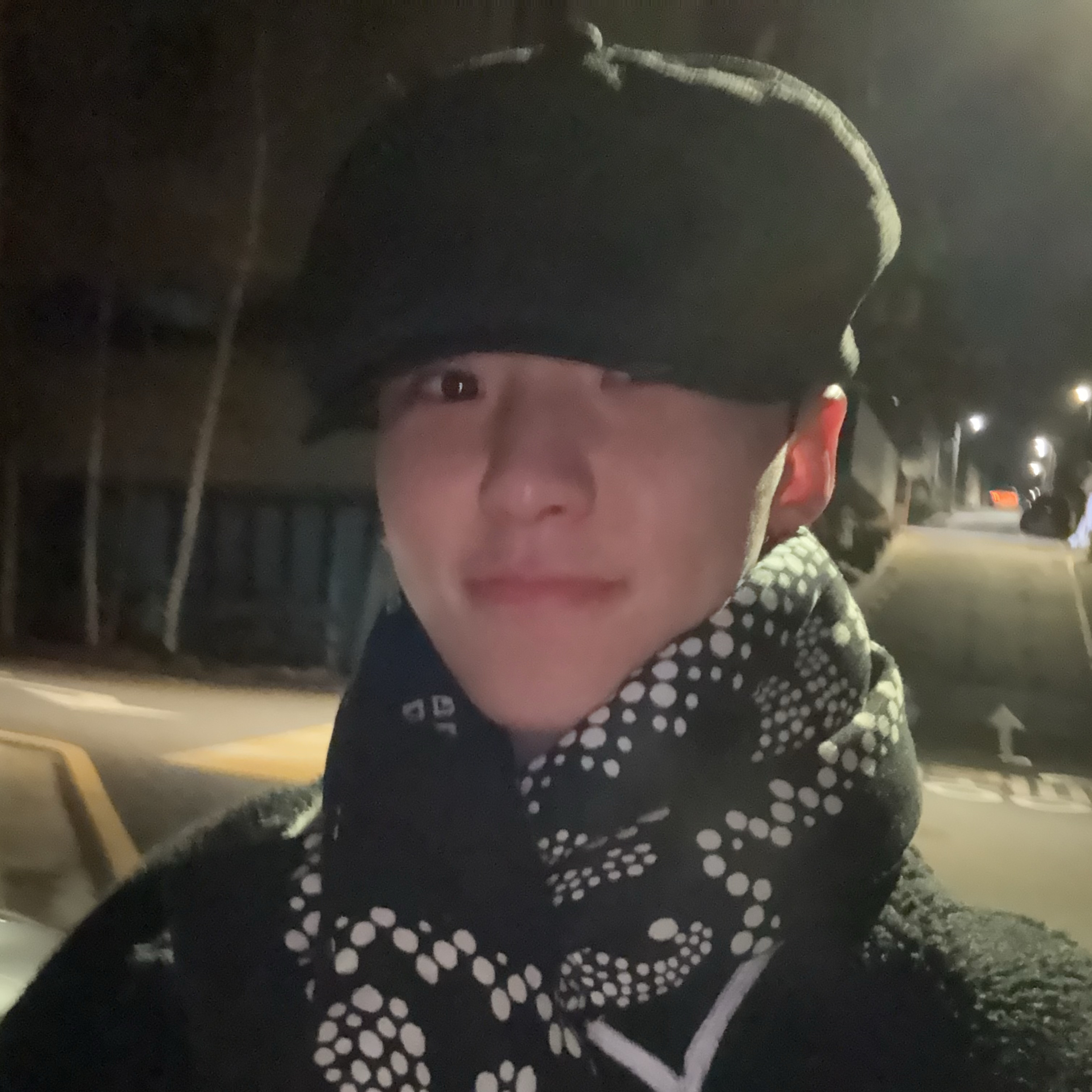 세븐틴 팬이 찍은 순간