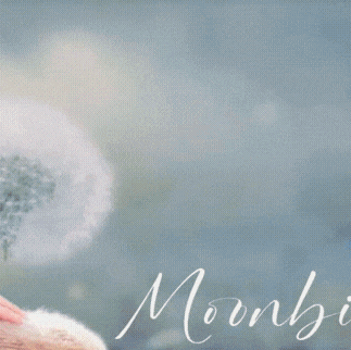 Behind-the-scenes cut of Moonbin (ASTRO)