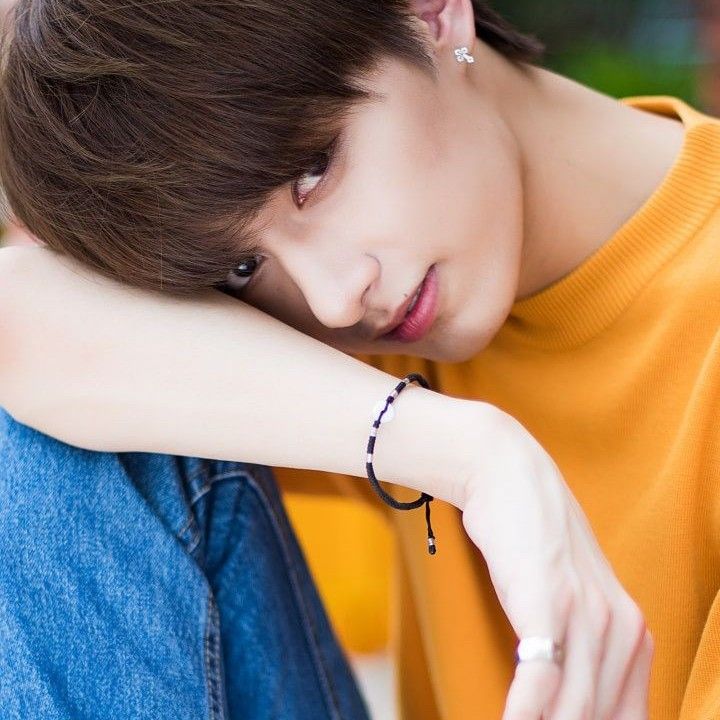 세븐틴의 비하인드 컷