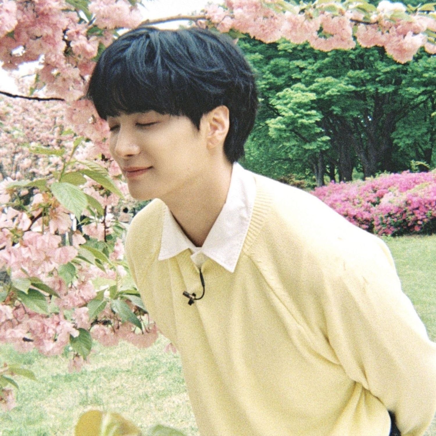 Behind-the-scenes cut of Kim Jonghyeon