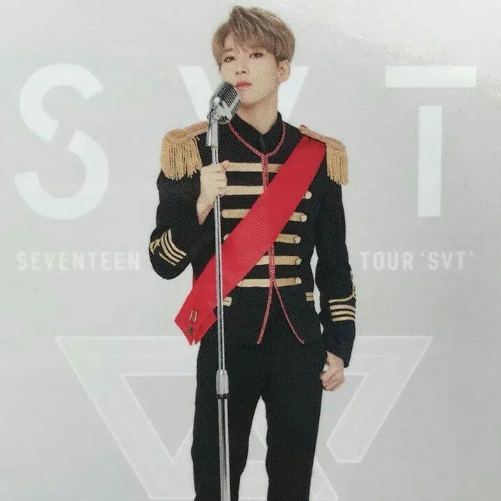 Recent activity shot of Wonwoo (SEVENTEEN)