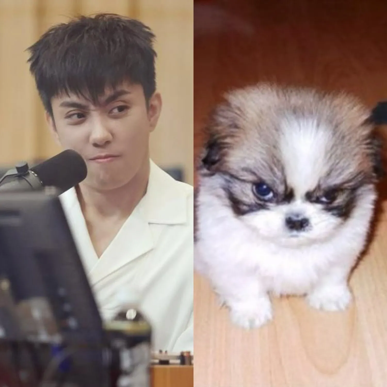 A moment captured by Eun Jiwon (SECHSKIES)'s fan