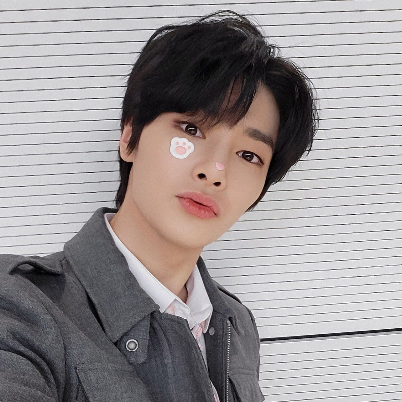 Stray Kids의 최신 사진