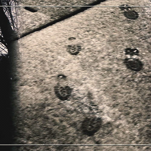 マヤ (NiziU)の最近の活動写真