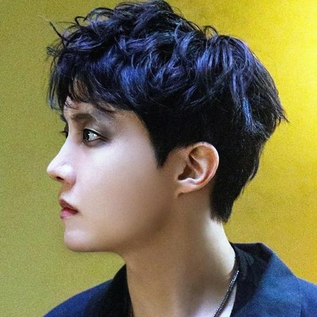 제이홉 (방탄소년단) 팬이 찍은 순간