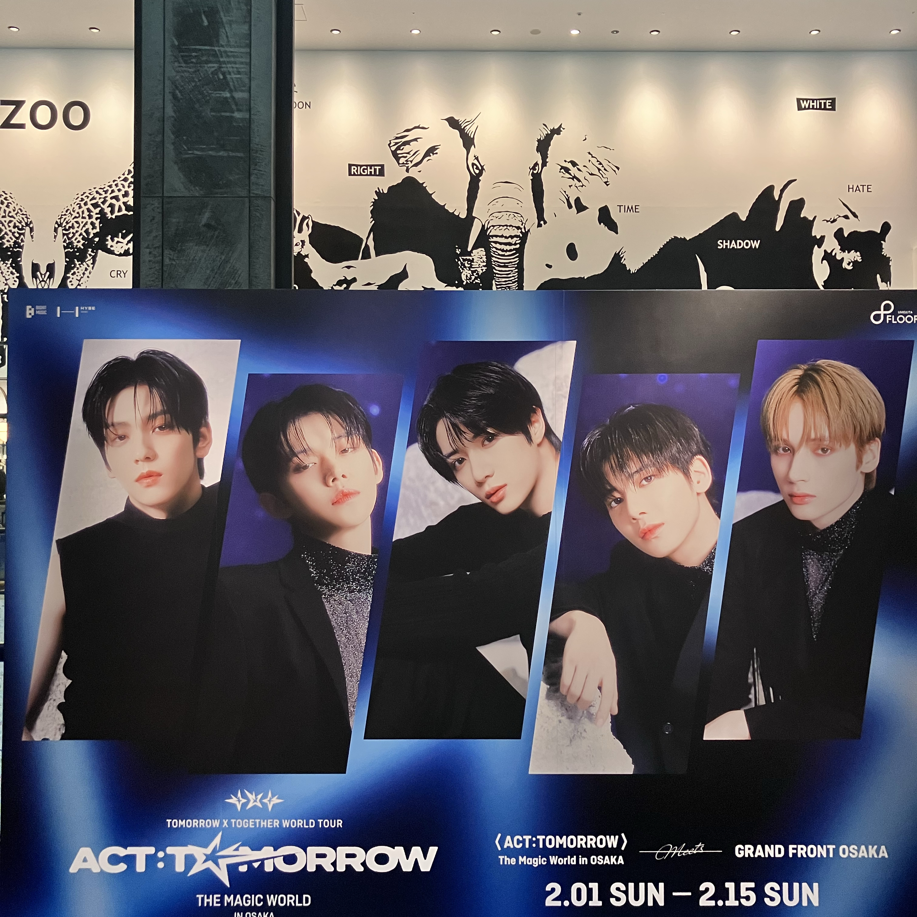 투모로우바이투게더의 최신 사진