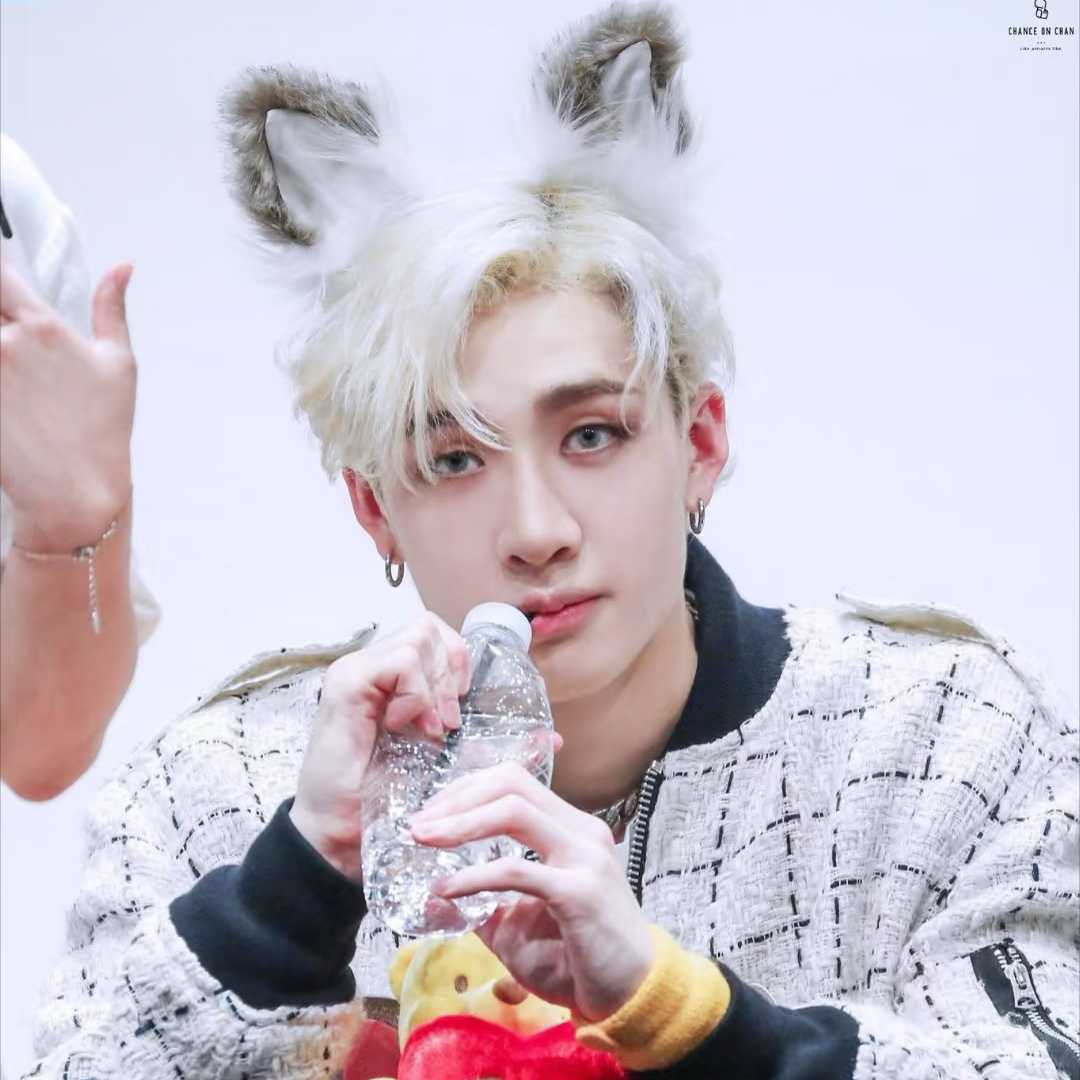 A moment captured by Bang Chan (Stray Kids)'s fan