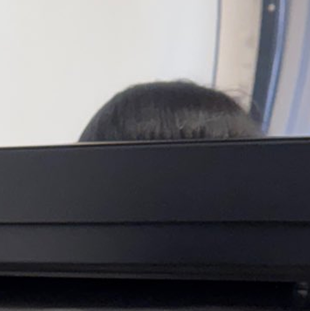 A moment captured by Go Won (Loossemble)'s fan