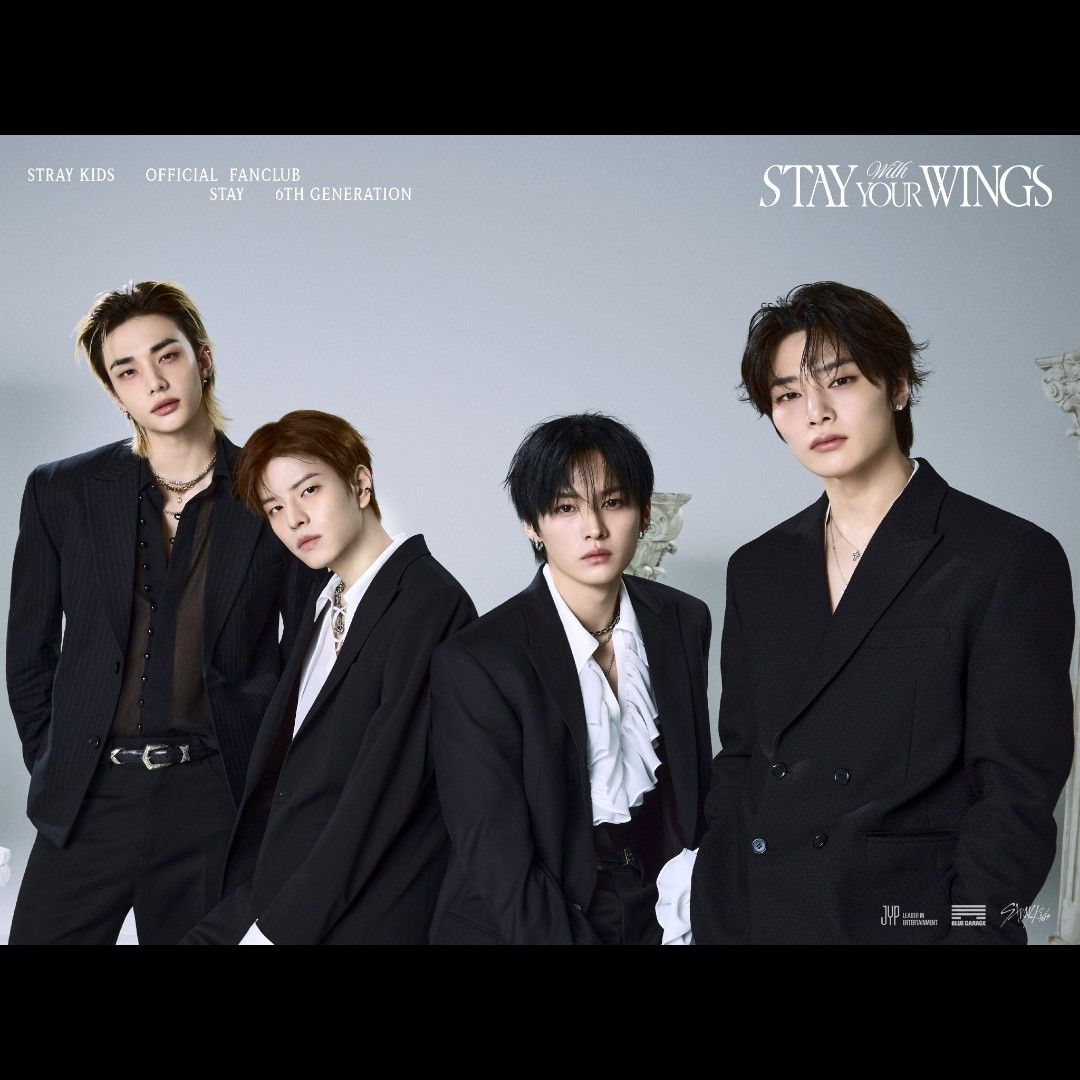 Stray Kids 팬이 찍은 순간