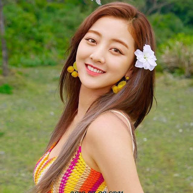 志效 (TWICE)粉絲拍下的瞬間