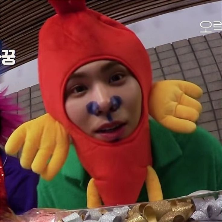 Latest photo of Rocky