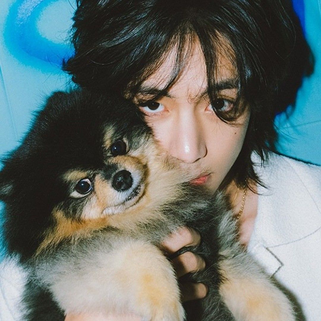 V (BTS)ファンが撮った瞬間