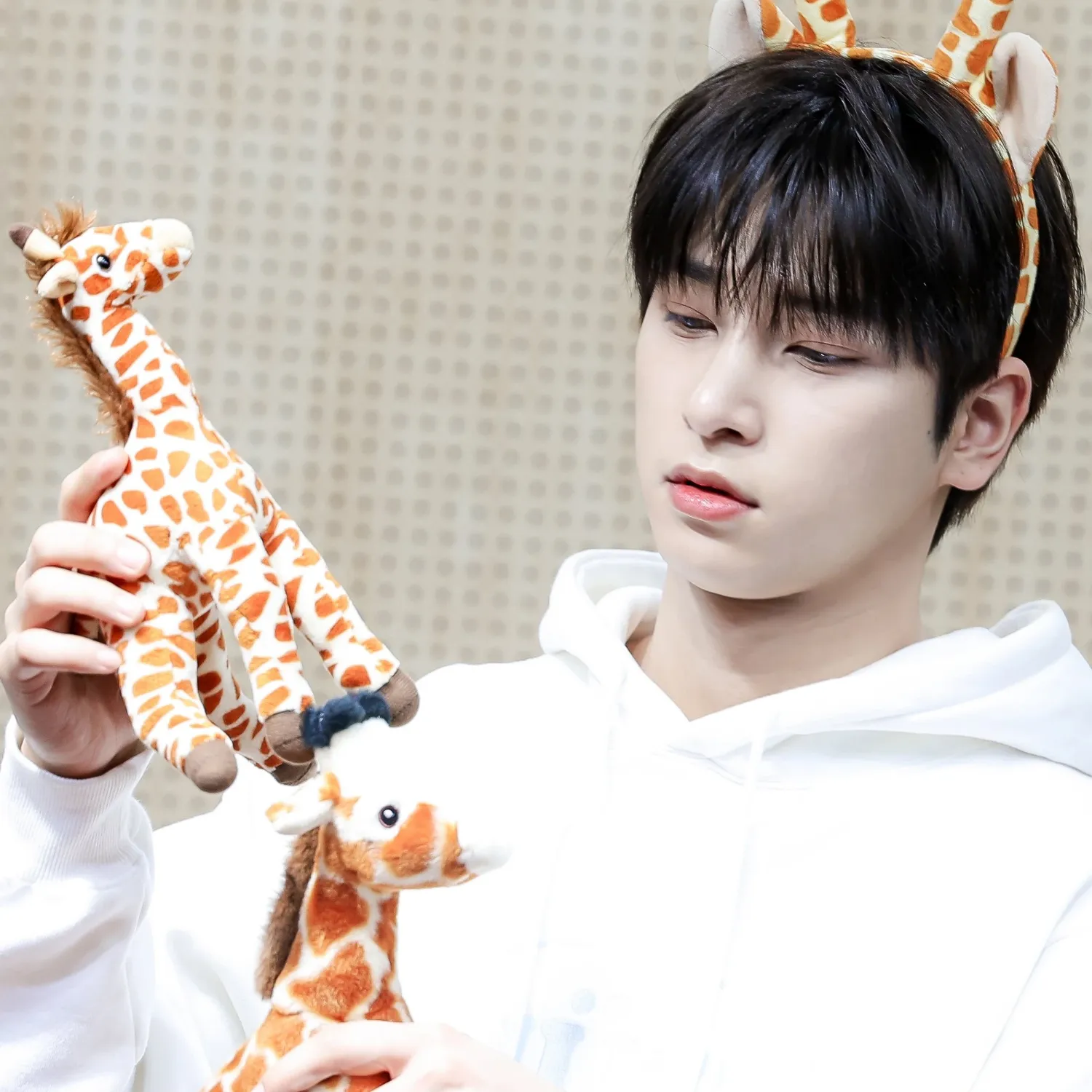 A moment captured by Hangyul (POLARIX)'s fan
