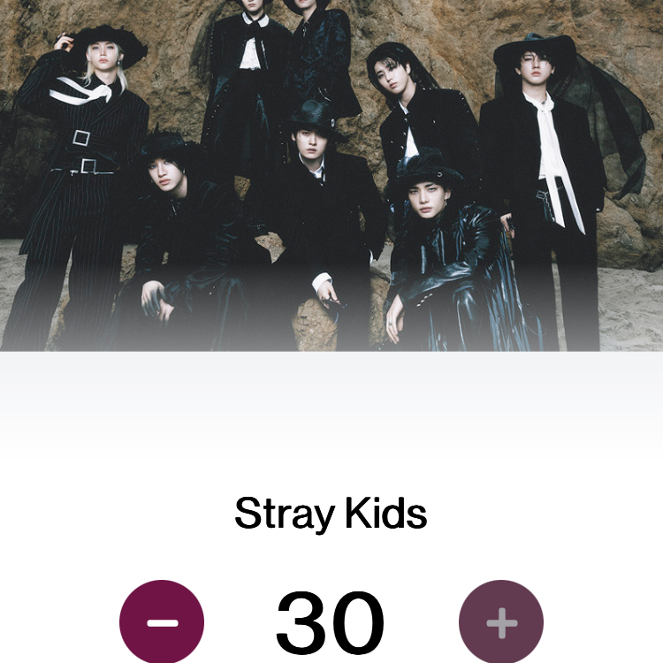 Recent activity shot of HAN (Stray Kids)