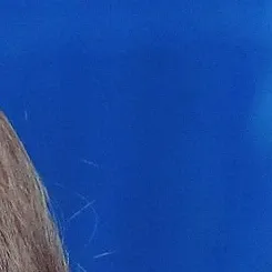 金佳蓝粉丝拍下的瞬间