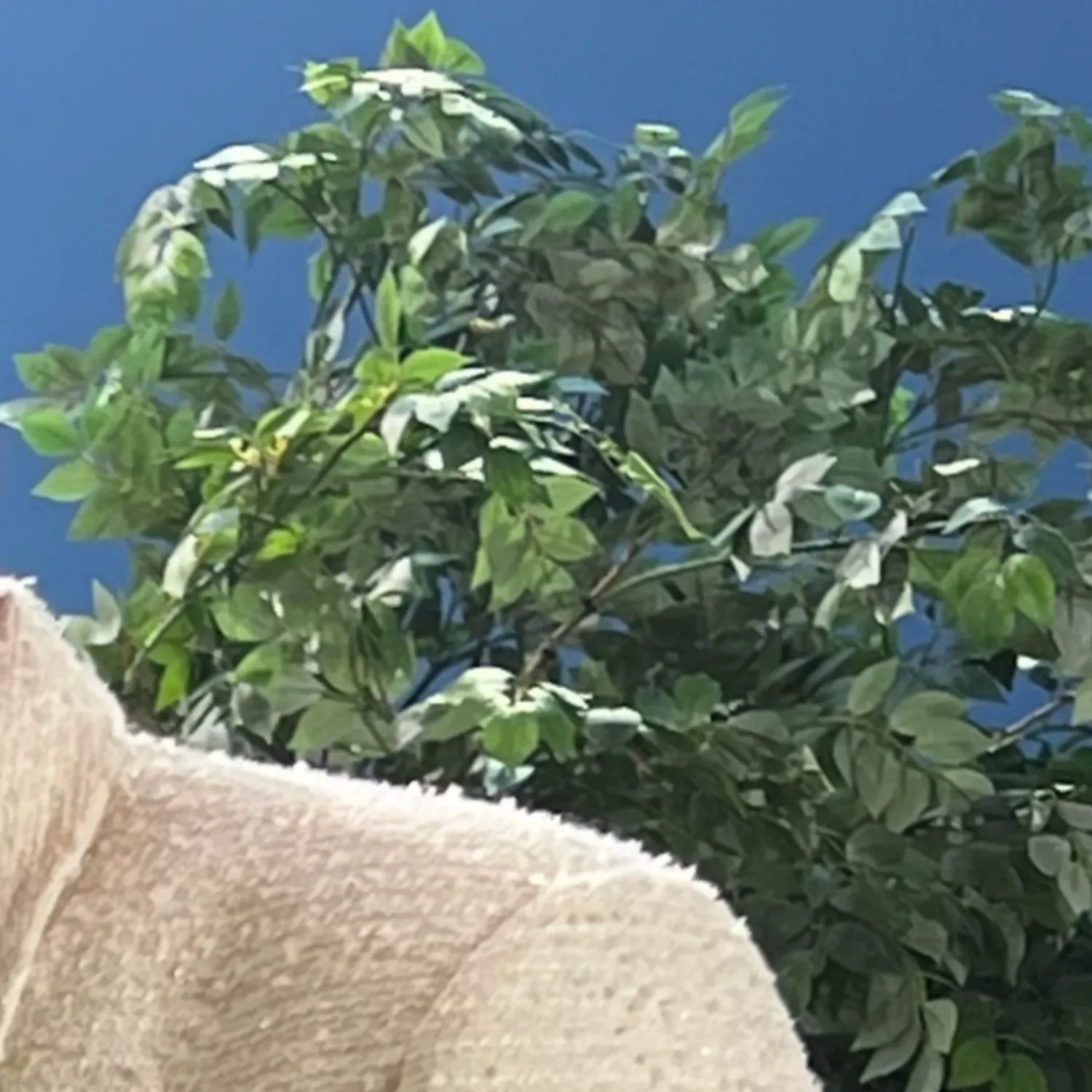 Behind-the-scenes cut of Keonhee (ONEUS)