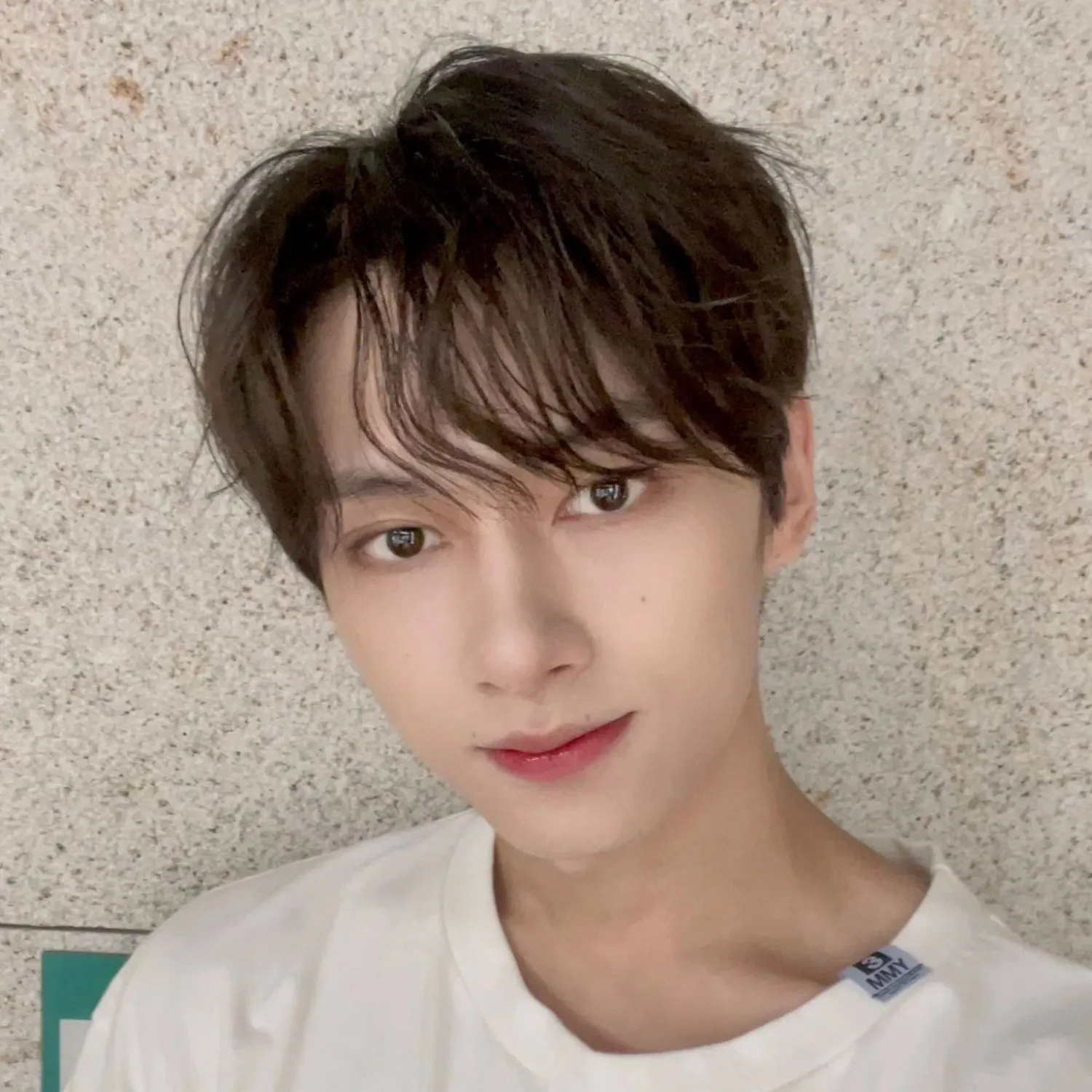 세븐틴 팬이 찍은 순간